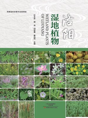 cover image of 洛阳湿地植物